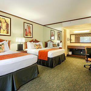 Double Room Two Double Beds